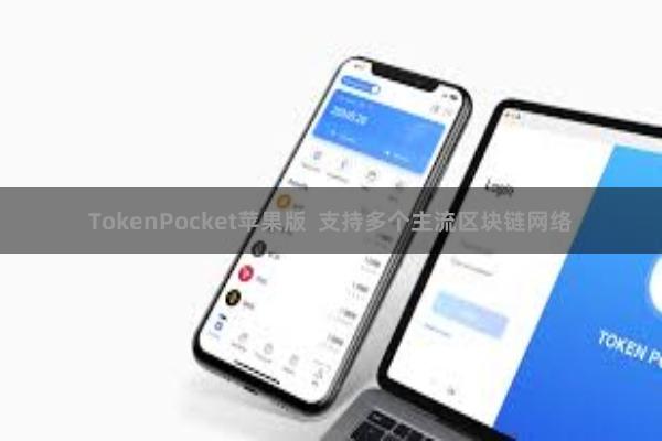 TokenPocket苹果版 支持多个主流区块链网络